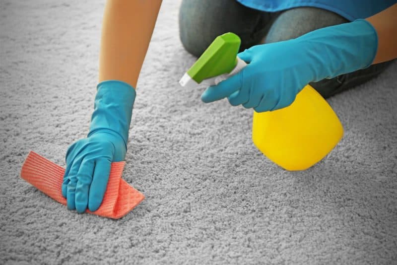 Top Carpet Cleaning Tips Clean That Carpet