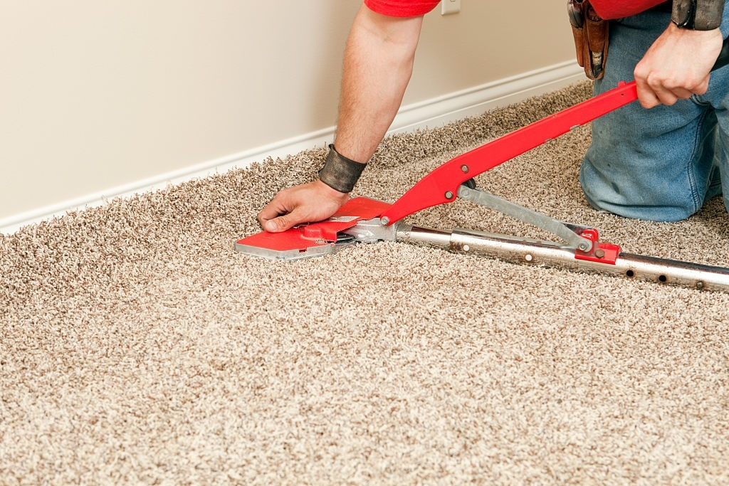 Best Carpet Cleaners London From Only £10 Per Room!